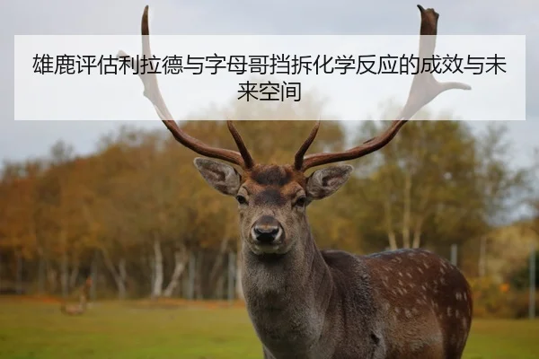 雄鹿评估利拉德与字母哥挡拆化学反应的成效与未来空间