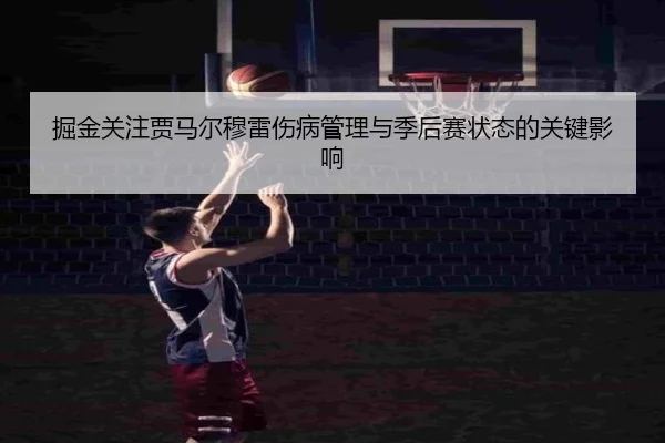 掘金关注贾马尔穆雷伤病管理与季后赛状态的关键影响
